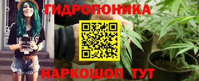 jwh Будённовск