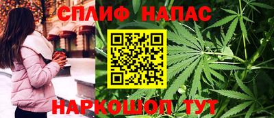 jwh Будённовск