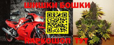 jwh Будённовск